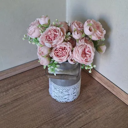 Apartment Kamarytka Ceske Budejovice