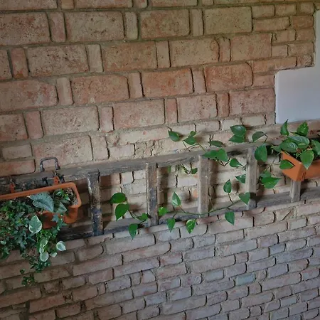 Apartment Kamarytka Ceske Budejovice