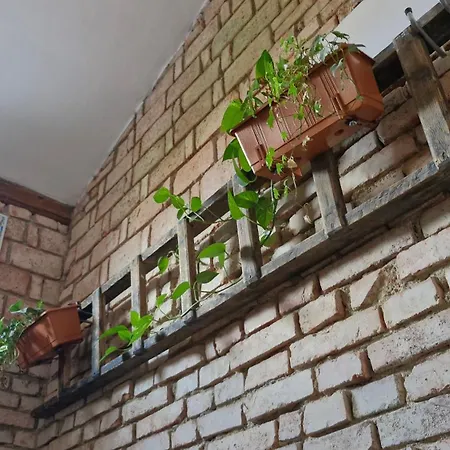 Kamarytka * Ceske Budejovice