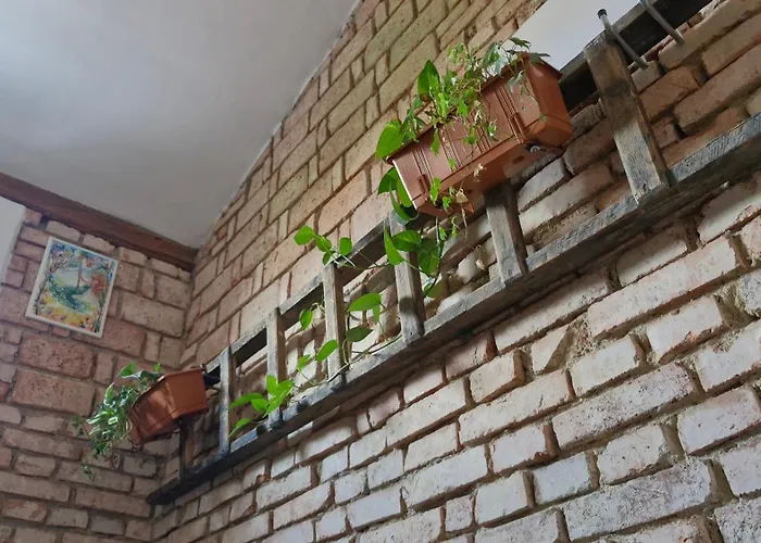 Kamarytka * Ceske Budejovice