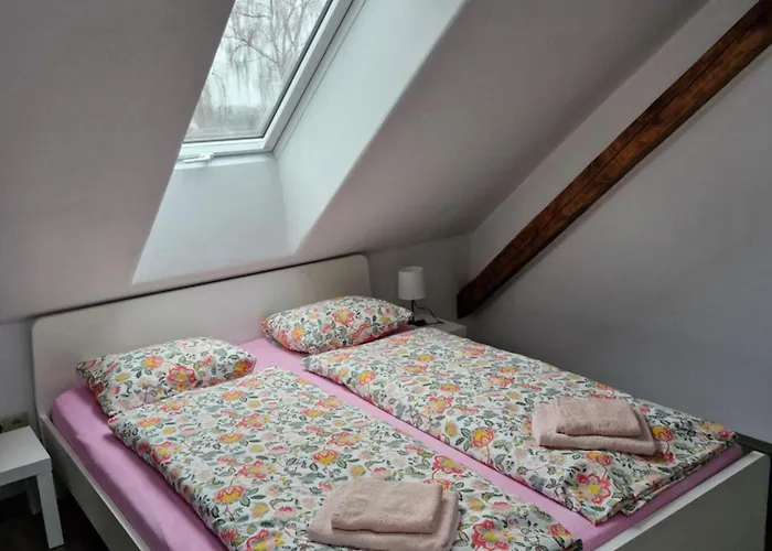 Kamarytka * České Budějovice